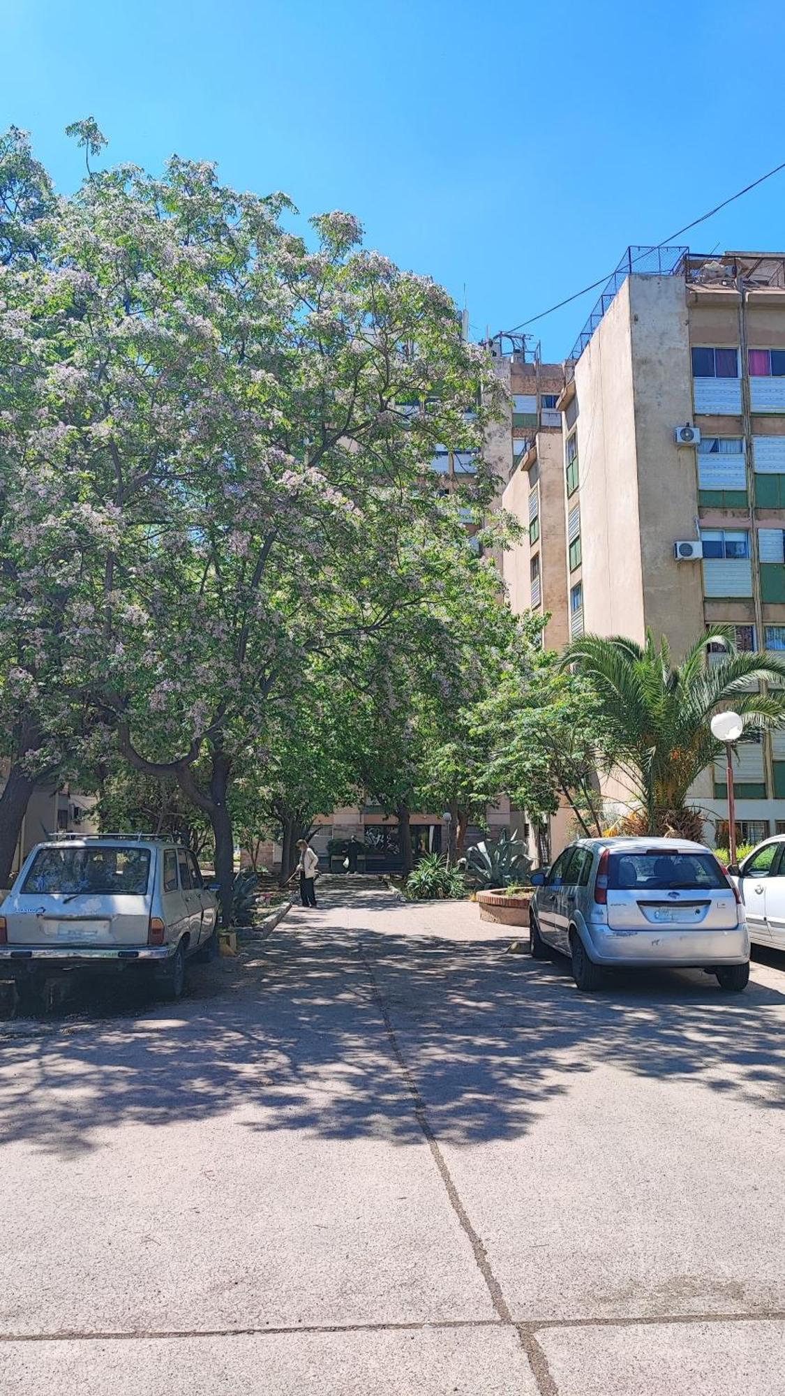 Cavas De Mendoza - Syrah - 3 - Frente Al Shopping *
